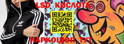 шишки Будённовск