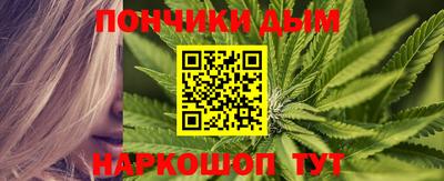 шишки Будённовск