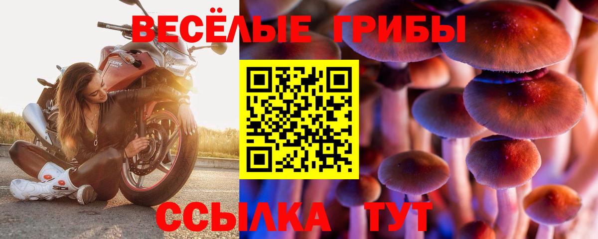 Галлюциногенные грибы Cubensis  Вход с VPN  Псилоцибиновые грибы Psilocybe  Наро-Фоминск 